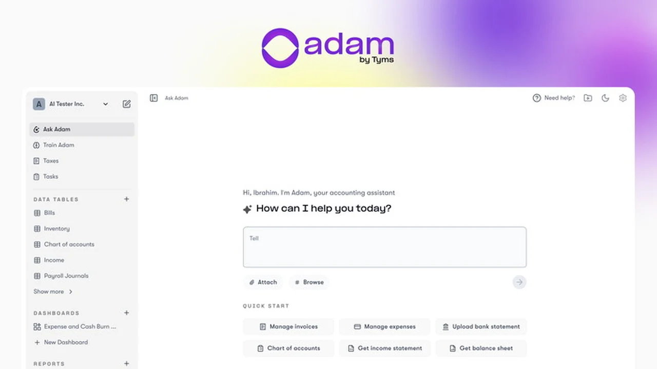 Adam by Tyms | AppSumo: Revolutionizing Financial Management for Business Owners