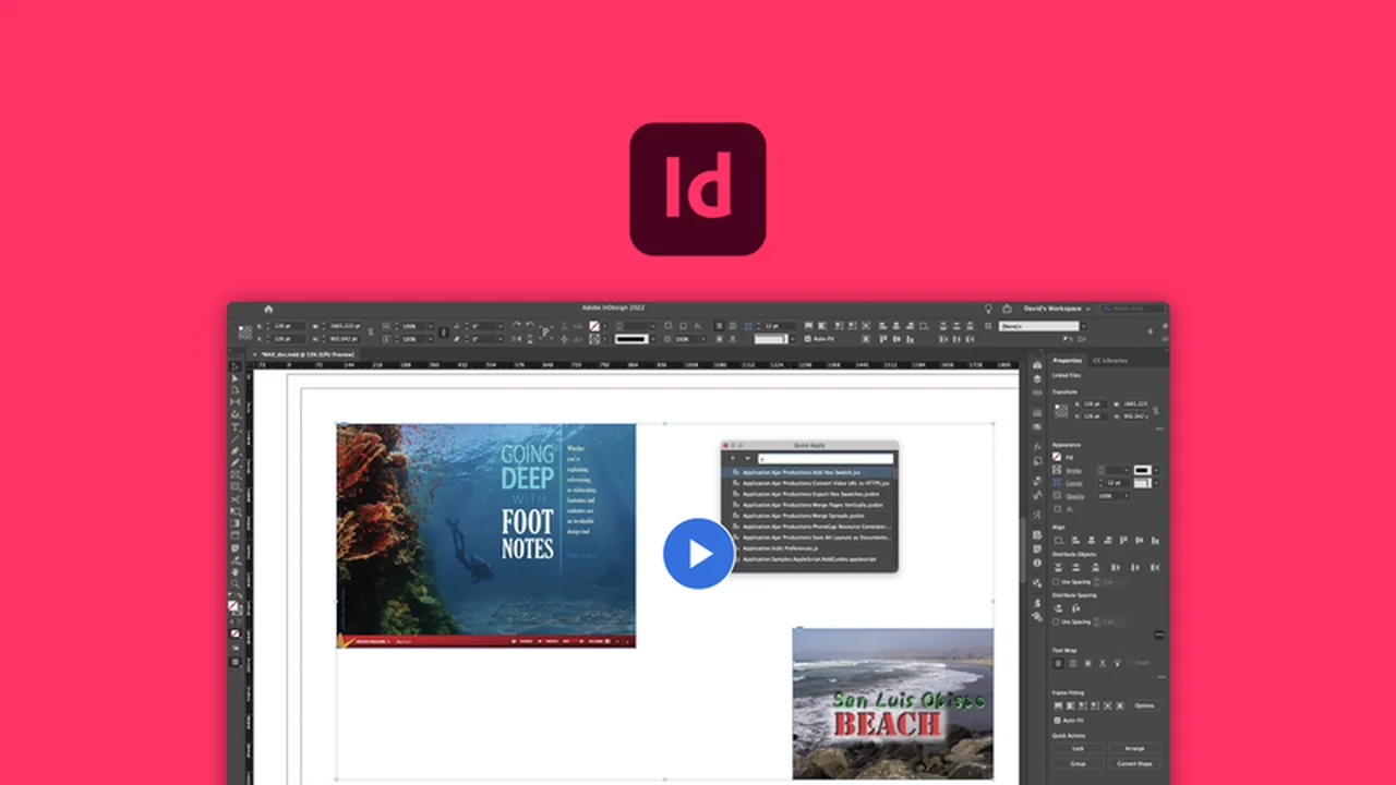 Adobe InDesign: Master Professional Publication Design with AppSumo