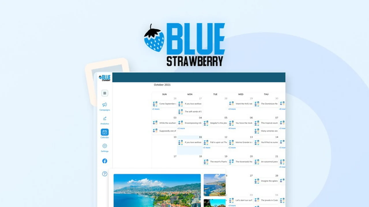 Blue Strawberry | AppSumo: Revolutionize Your Social Marketing