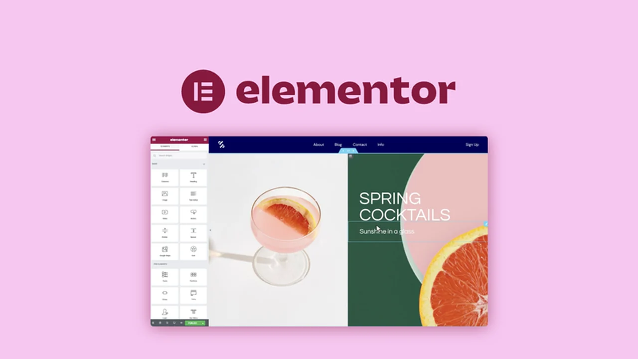 Elementor – Drag & drop your way to a website | AppSumo Review