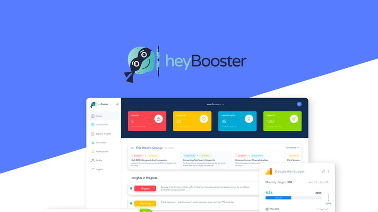 heybooster – AI-Powered Ecommerce Marketing Audit