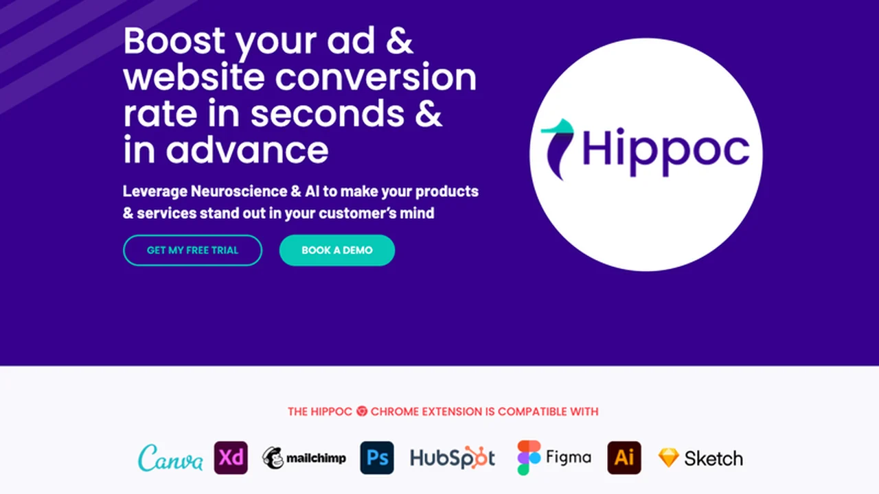 Hippoc Neuro-AI Analytics: Unlocking Cognitive Effectiveness
