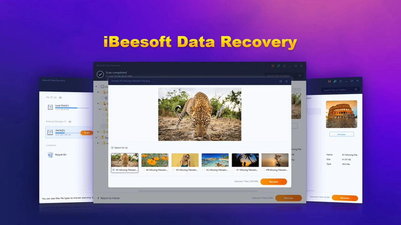 iBeesoft Data Recovery | AppSumo Review: Your Guide to Effortless File Restoration
