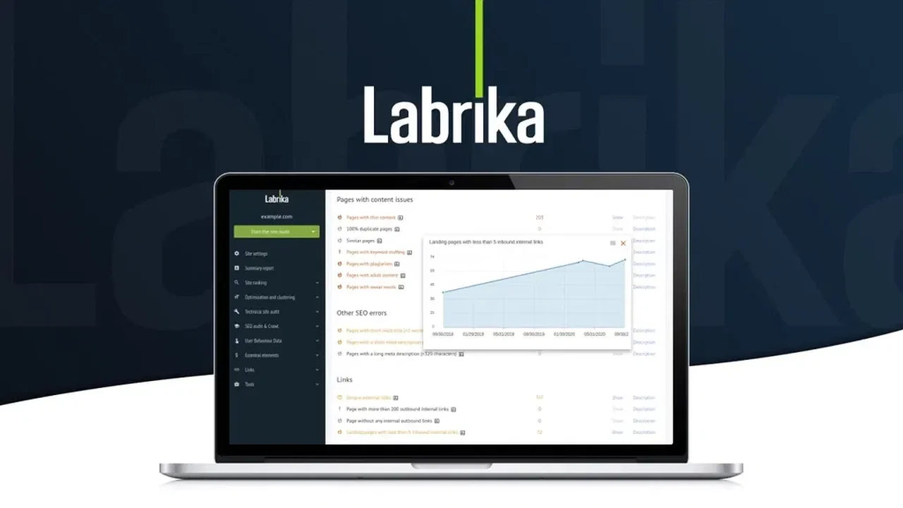 Labrika | AppSumo: Revolutionize Your SEO Strategy