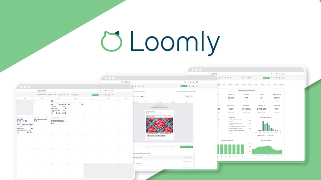 Loomly – Manage all social accounts in one place | AppSumo Review