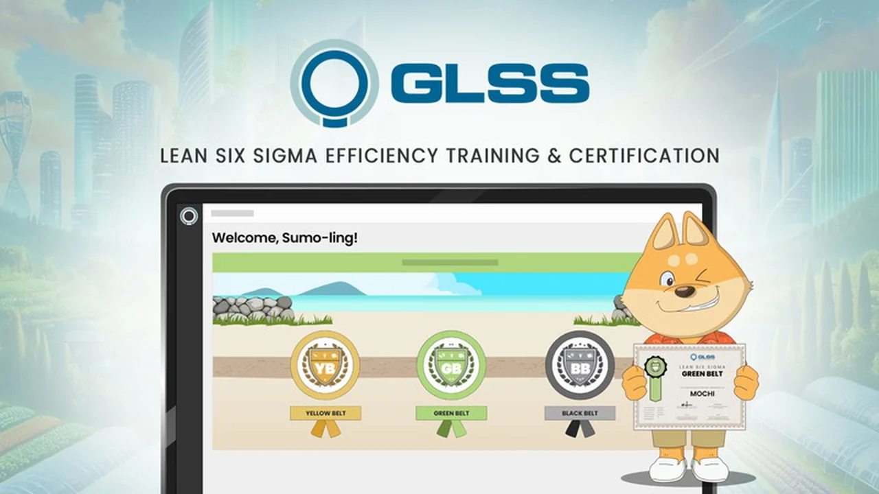Master Process Improvement with Lean Six Sigma Training & Certification