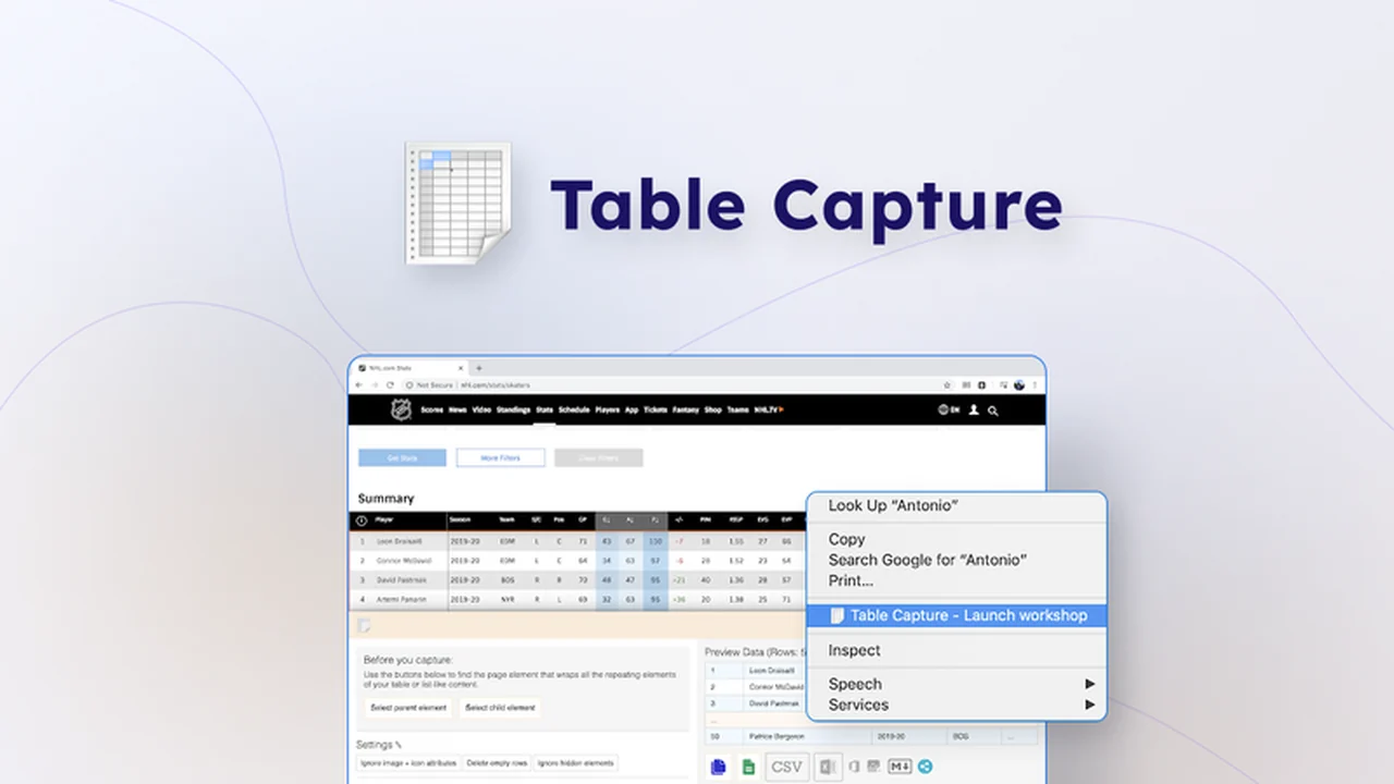 Master Table Data Extraction with Table Capture | AppSumo