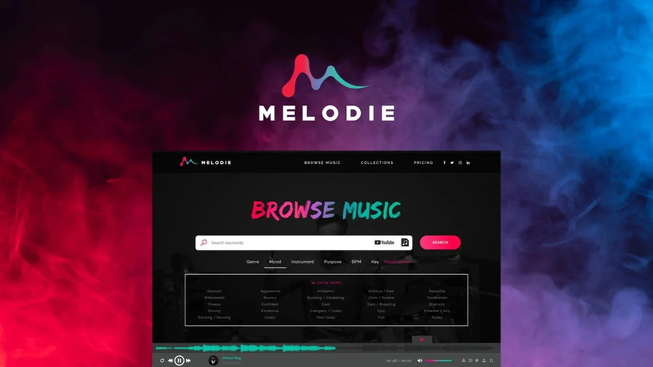 Melodie Music – Plus exclusive | AppSumo Review: Unlimited Music Licensing for Creatives