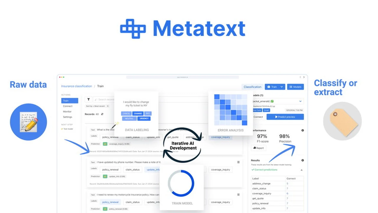 Metatext AI – Empowering Text Classification and Extraction for Everyone