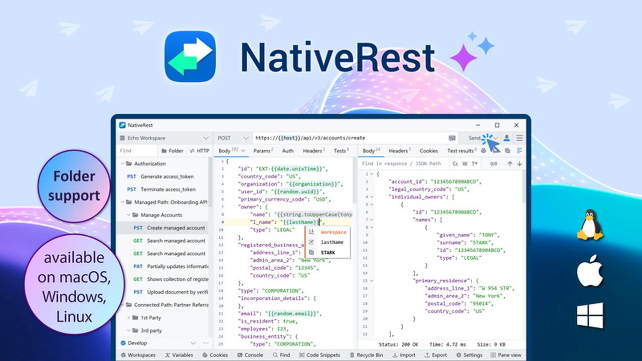 NativeRest | AppSumo: A Deep Dive into the API Client