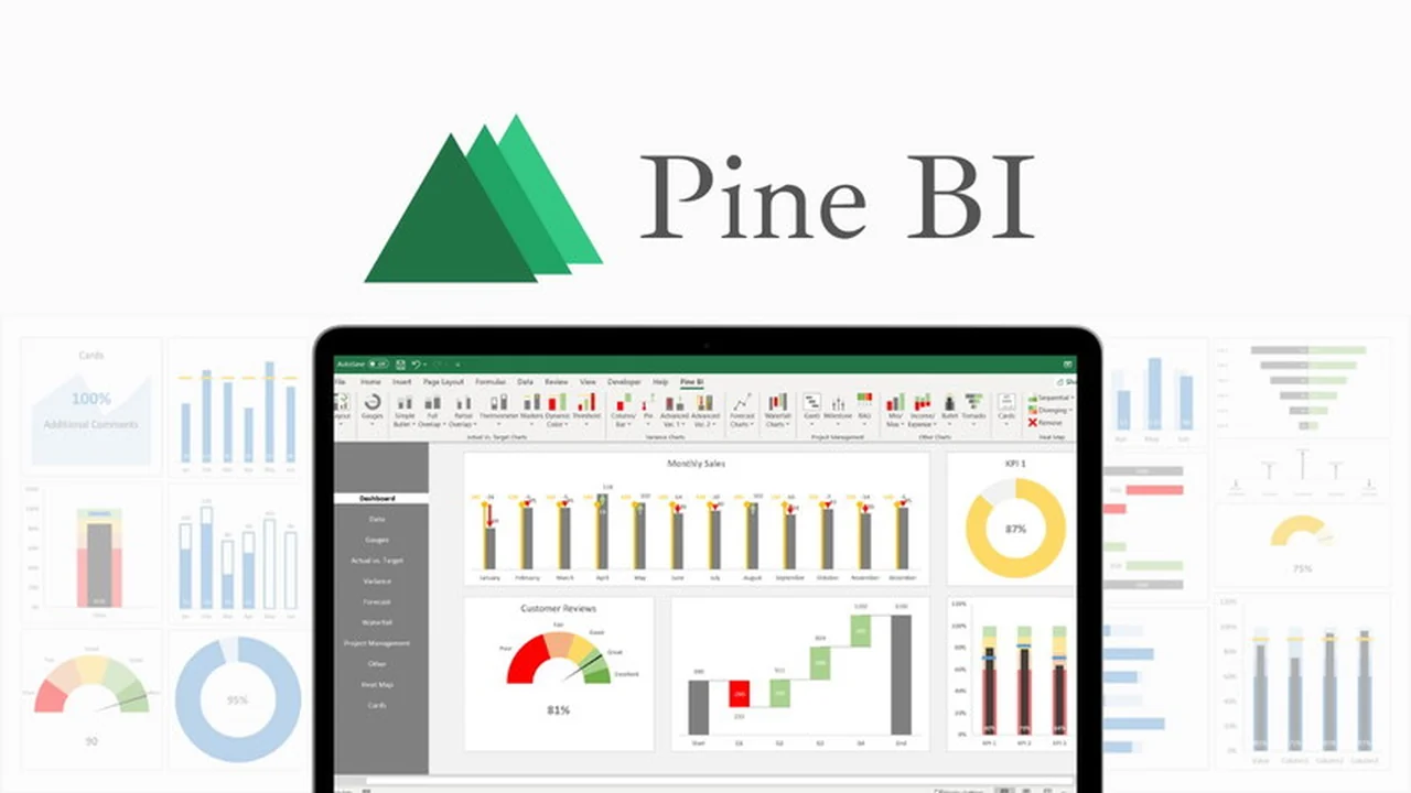 Pine BI | AppSumo: Transform Your Excel Data into Dynamic Dashboards