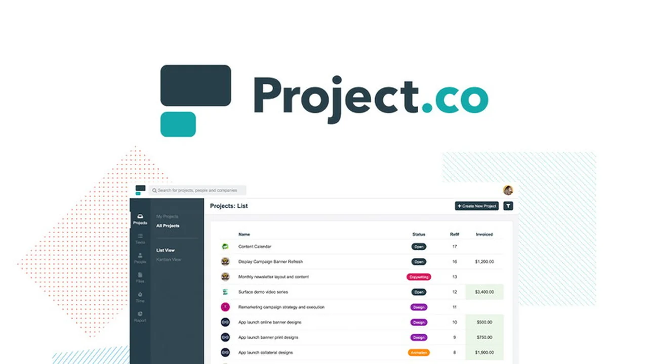 Project.co | AppSumo Review: Streamline Your Team Collaboration