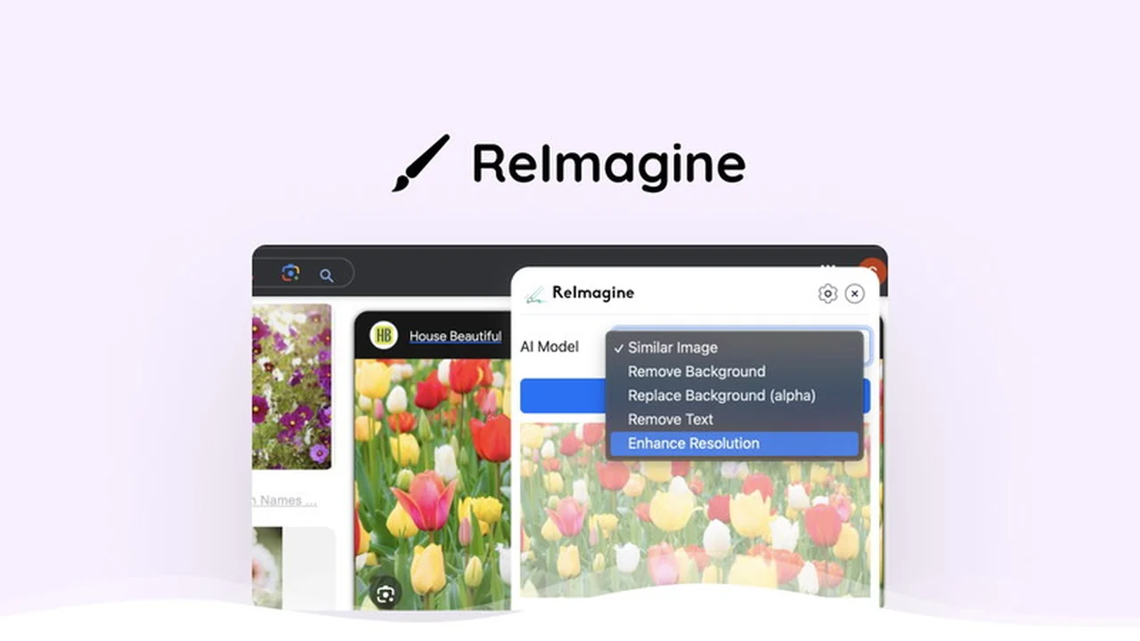 ReImagine | AppSumo Review: Generate Similar Images Instantly with AI