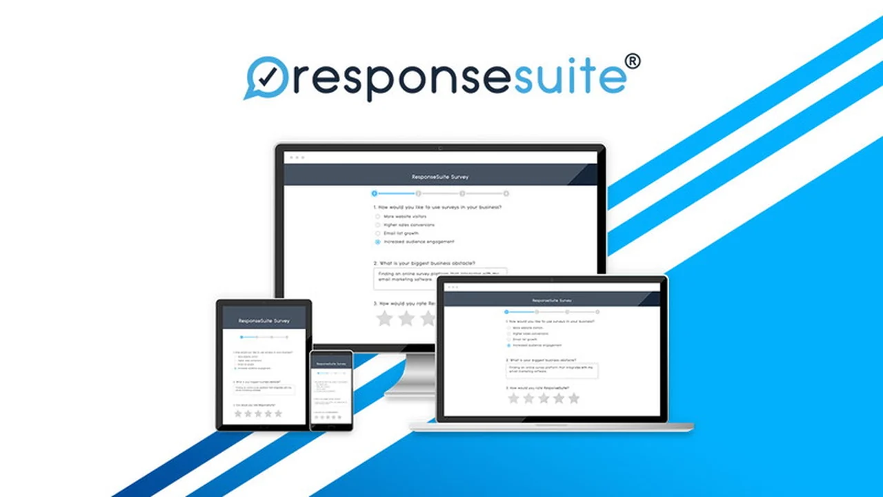 ResponseSuite | AppSumo: Revolutionize Your Audience Segmentation