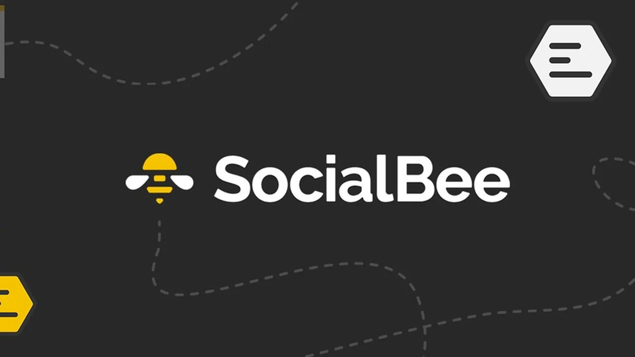 SocialBee Accelerate Plan: A Lifetime Social Media Solution