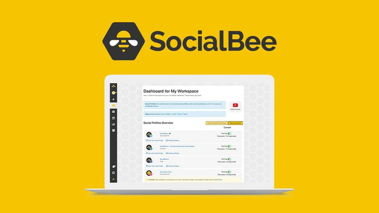 SocialBee | AppSumo: Your All-in-One Social Media Management Solution