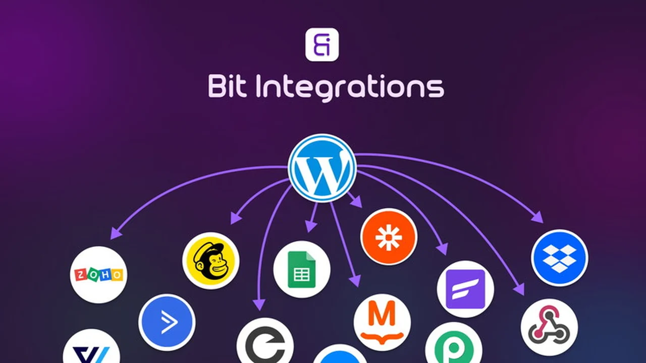 Unlock WordPress Automation with Bit Integrations - Plus exclusive | AppSumo