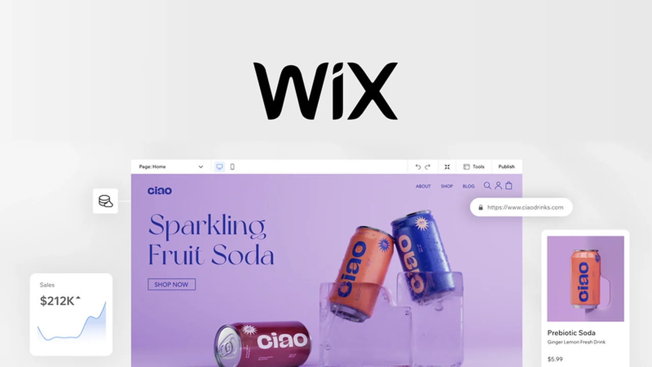 Wix - Quickly Build Websites with Templates Review